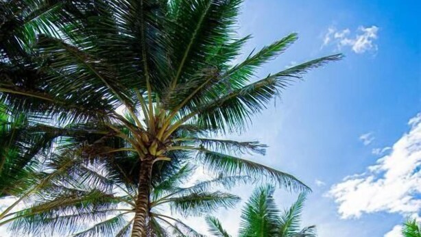 Ảnh chưa phân loại, 1 trong số 28 ảnh, nút
