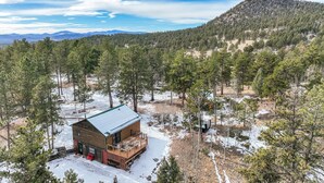 A cabin with a wooden exterior and a metal roof, surrounded by a snowy landscape and dense forest. - The Bear Den  (Florissant)