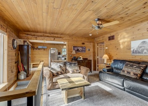 Interior detail - The Bear Den  (Florissant)