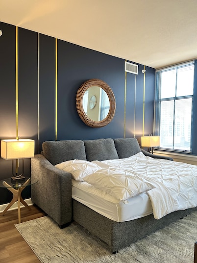 Magnificent DC Getaway Deluxe 2BR Work Space/Gym/ Near Met Park/DC/Metro/Mall