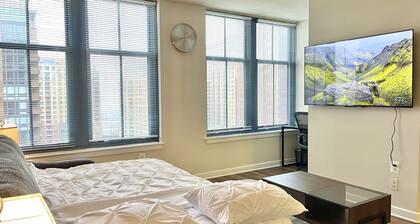 Magnificent DC Getaway Deluxe 2BR Work Space/Gym/ Near Met Park/DC/Metro/Mall