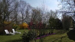 A garden with a lawn, two white lounge chairs, and various trees and shrubs.