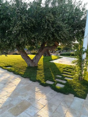 House | 4 bedrooms - Trulli Lamascrasciola (Monopoli)
