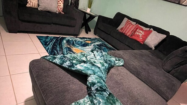 Un salon avec deux canapés, une table basse et un tapis décoratif.