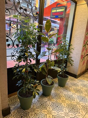 منطقة الاستقبال