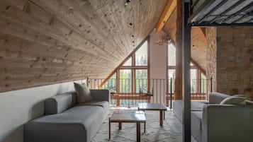 TV connectée, cheminée, livres