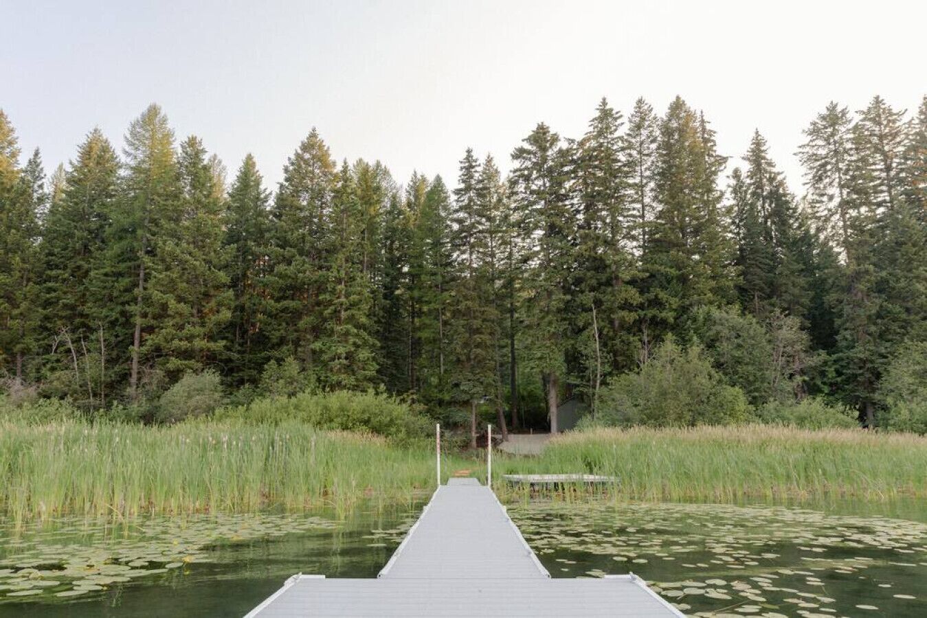 A wooden dock extending into a pond surrounded by dense forest.