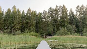 A wooden dock extending into a pond surrounded by dense forest.
