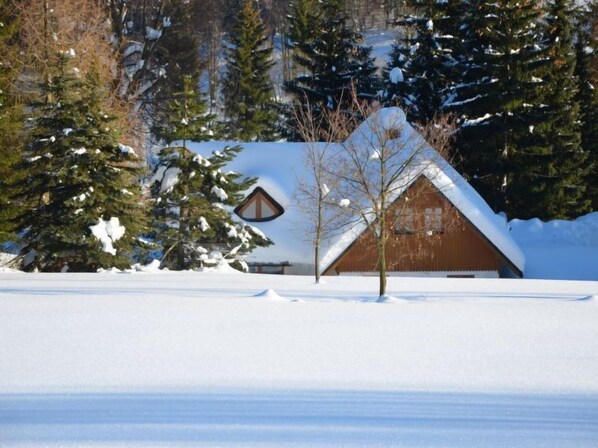 Exterior - Vacation home Hoja 1 by Interhome (Vítkovice)