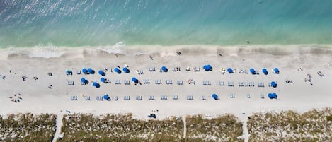 An aerial view of a beach with rows of blue umbrellas and beach chairs, a sandy shoreline, and a path leading through the beach area.