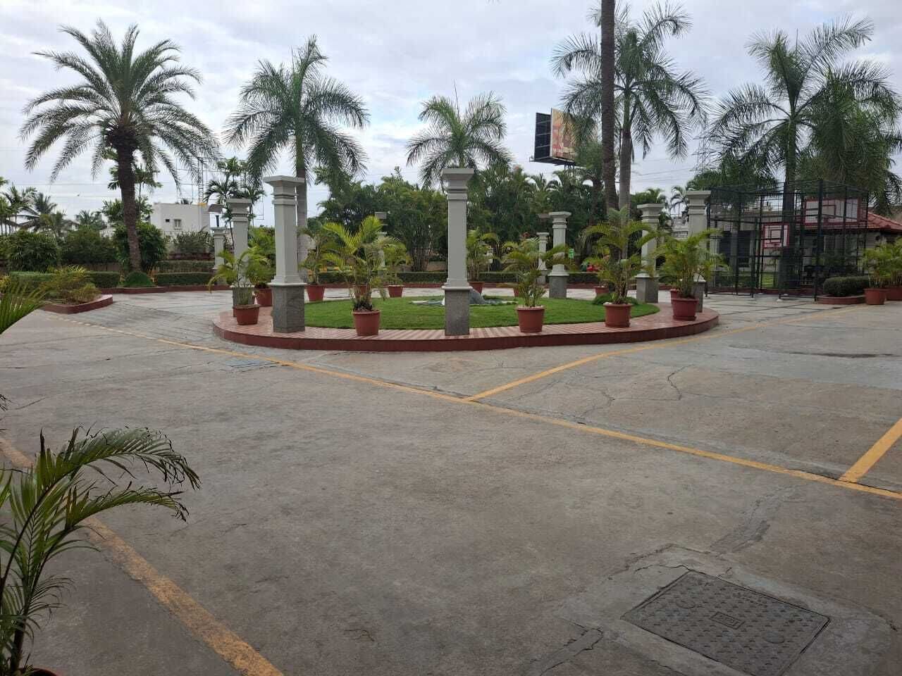 A parking lot with palm trees and potted plants.