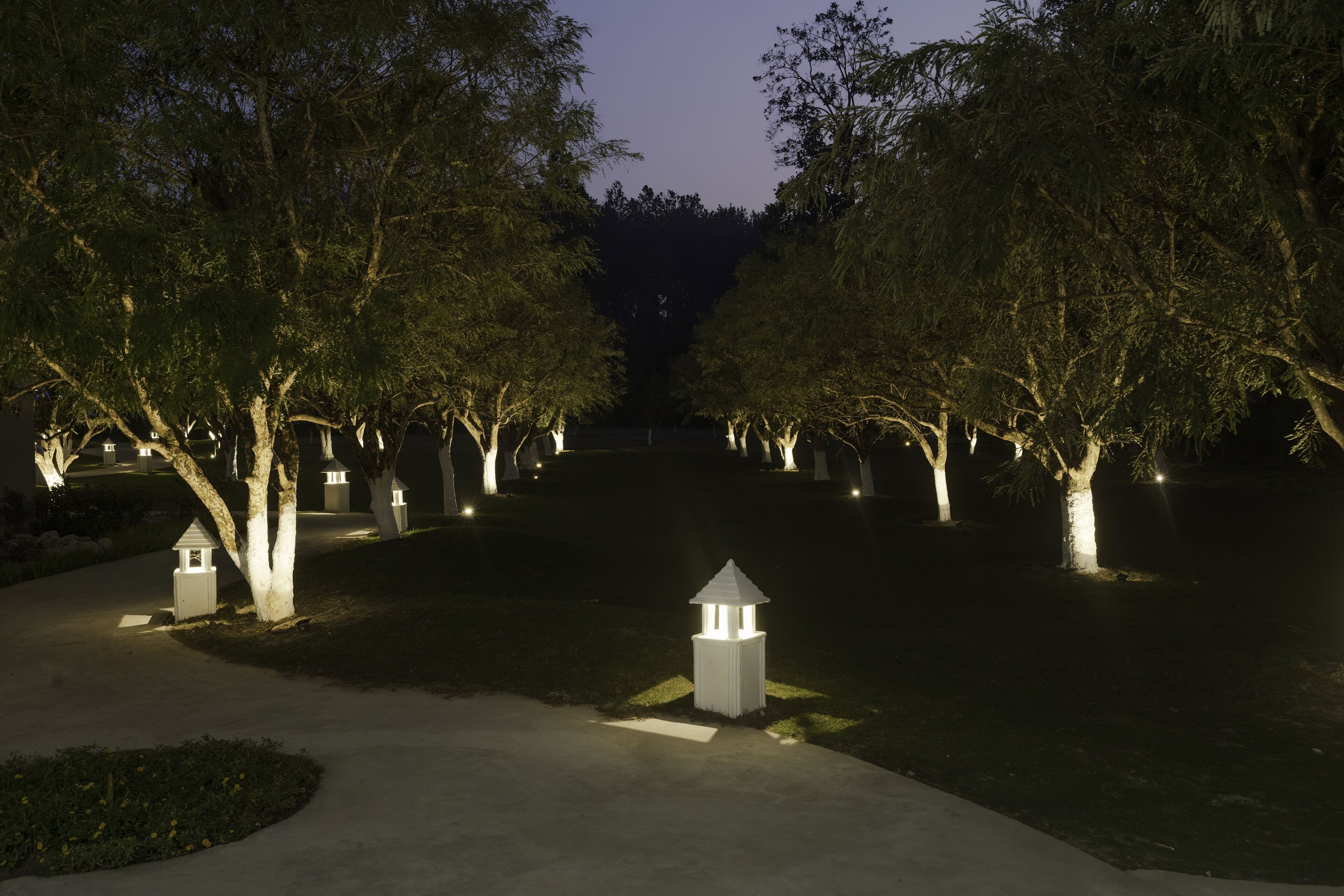 Un sendero bordeado por árboles con faroles iluminados y una estructura central iluminada.