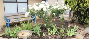 Sally's Kingscote Retreat