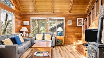 Una televisión, una chimenea, un reproductor de DVD, libros