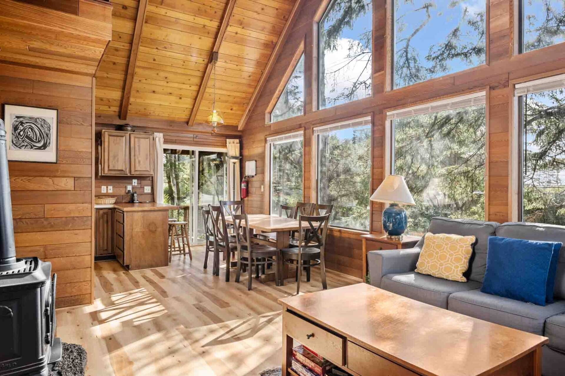 Télévision, cheminée, lecteur de DVD, livres