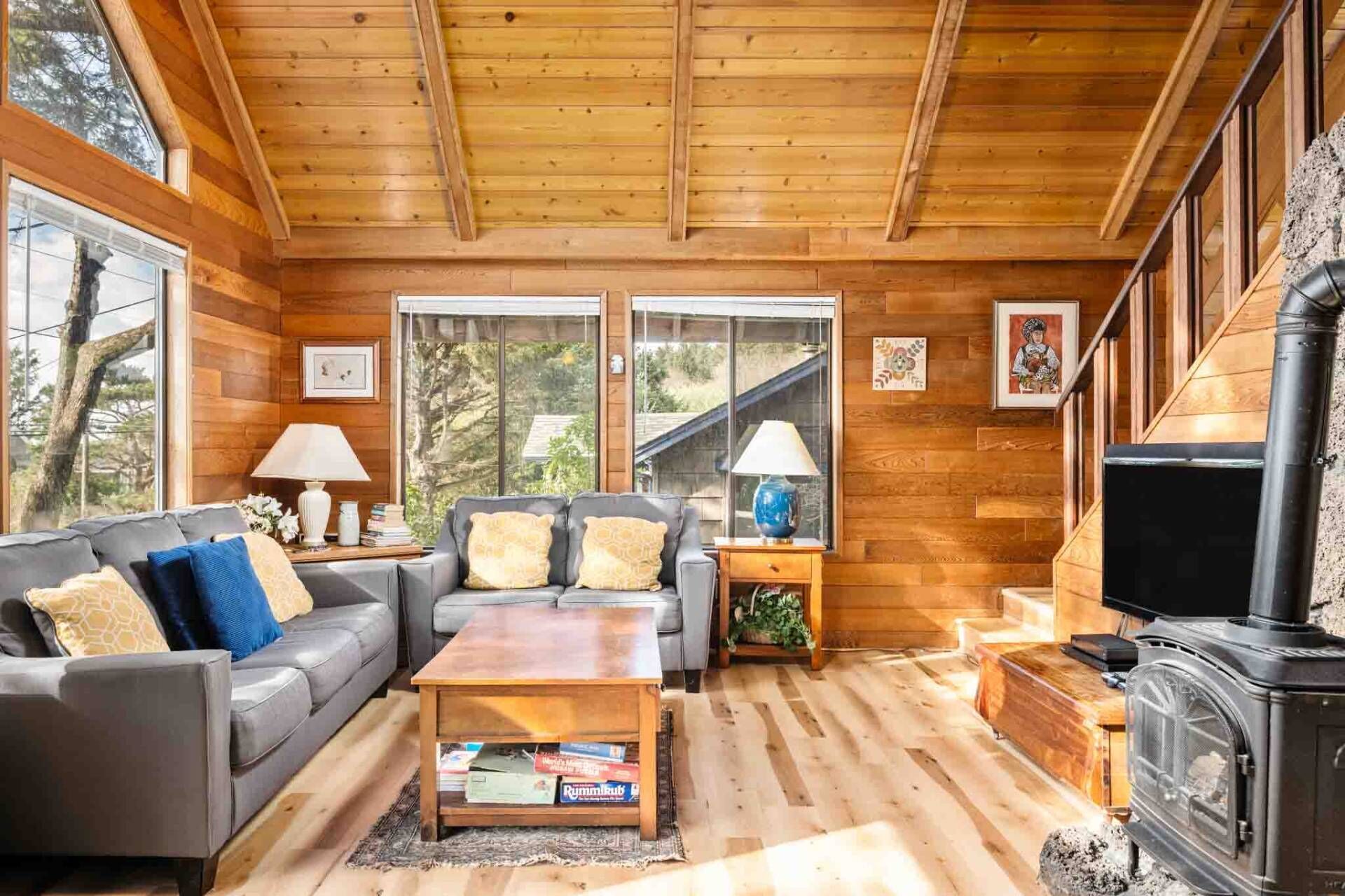 Télévision, cheminée, lecteur de DVD, livres