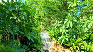 Un exuberante jardín con cascada, follaje denso y un pequeño estanque.