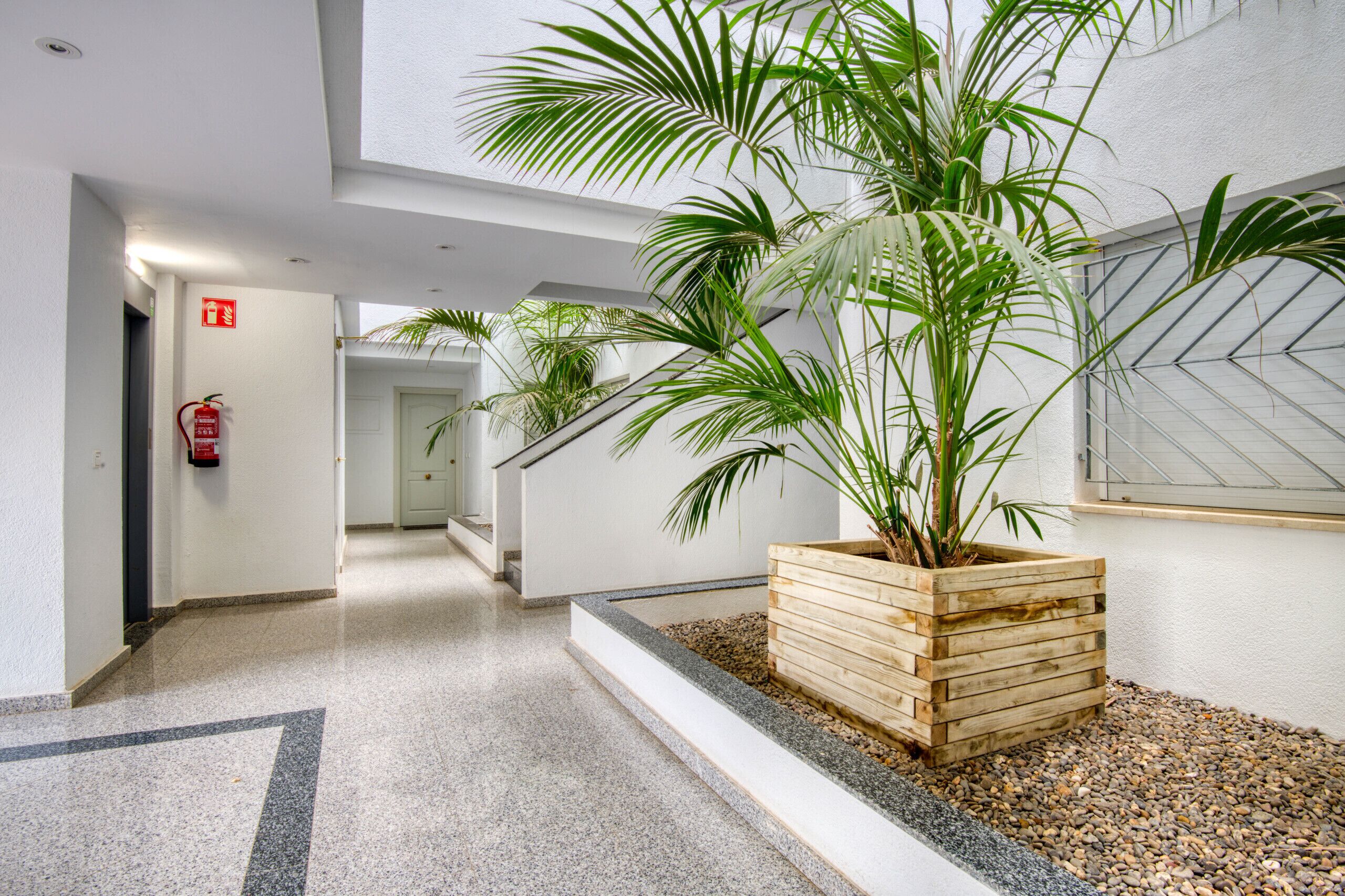 Een moderne hal met een houten plantenbak met een palm, een brandblusser aan de muur en een geometrisch vloertapijt.