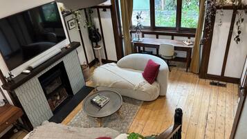 TV connectée, cheminée