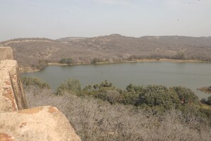 Vistas al lago