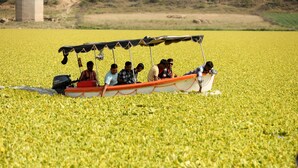 Un bateau avec des personnes à bord, sur une étendue d’eau.