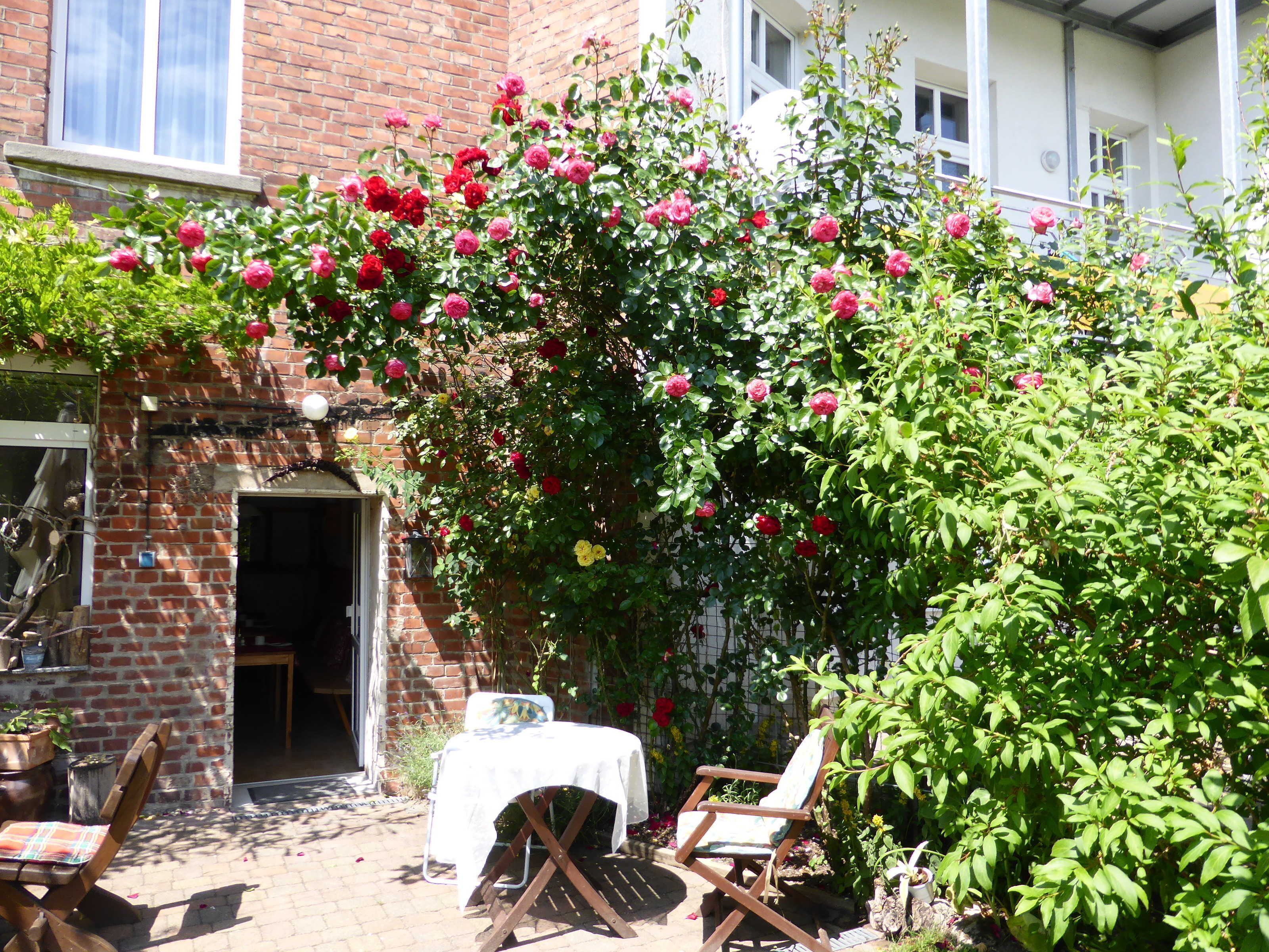 Blick auf den Garten