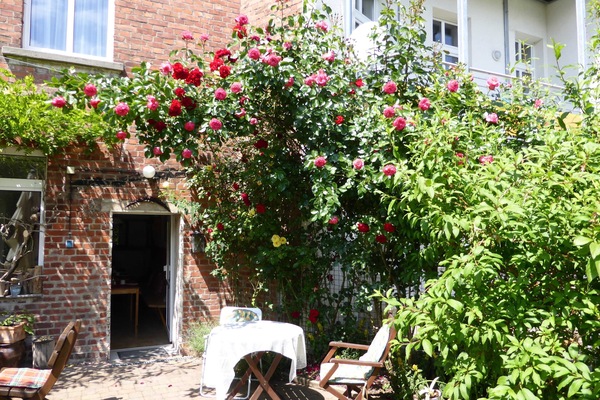 Blick auf den Garten