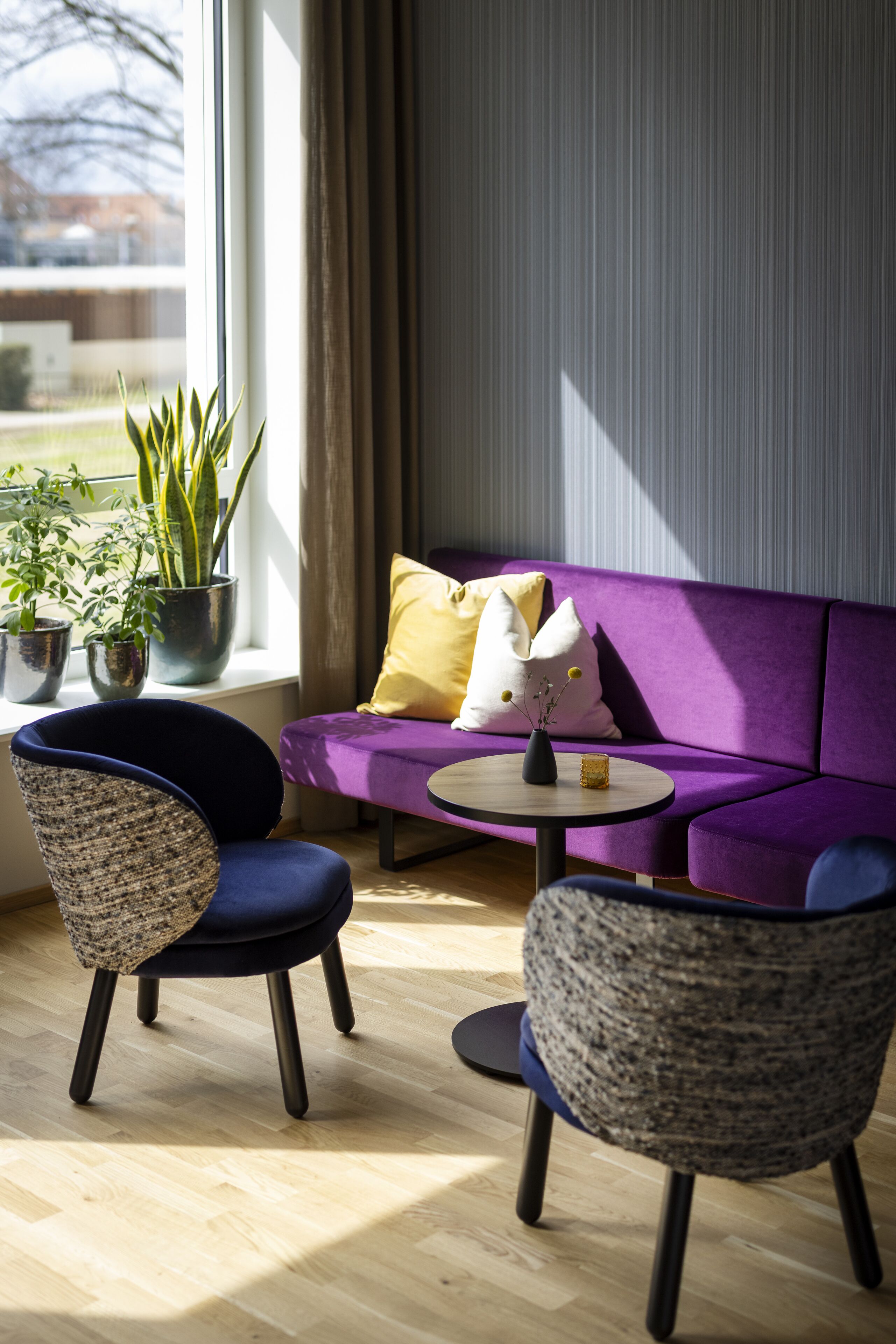 A modern living room with a purple sofa, two armchairs, a small round table, and potted plants.