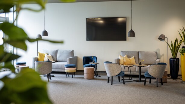 Un salon moderne avec un canapé gris, un fauteuil bleu et une table basse ronde. On y trouve plusieurs petites tables d’appoint et une grande plante en pot.