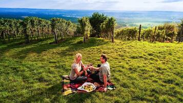 Vineyard