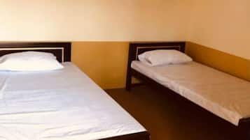 Standard Double Room | Soundproofing, iron/ironing board, free WiFi
