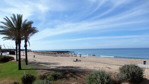 Ein Strand mit Palmen, sandigem Ufer und blauem Himmel.