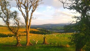 Paesaggio rurale con un prato erboso, alberi e una vista lontana delle colline.