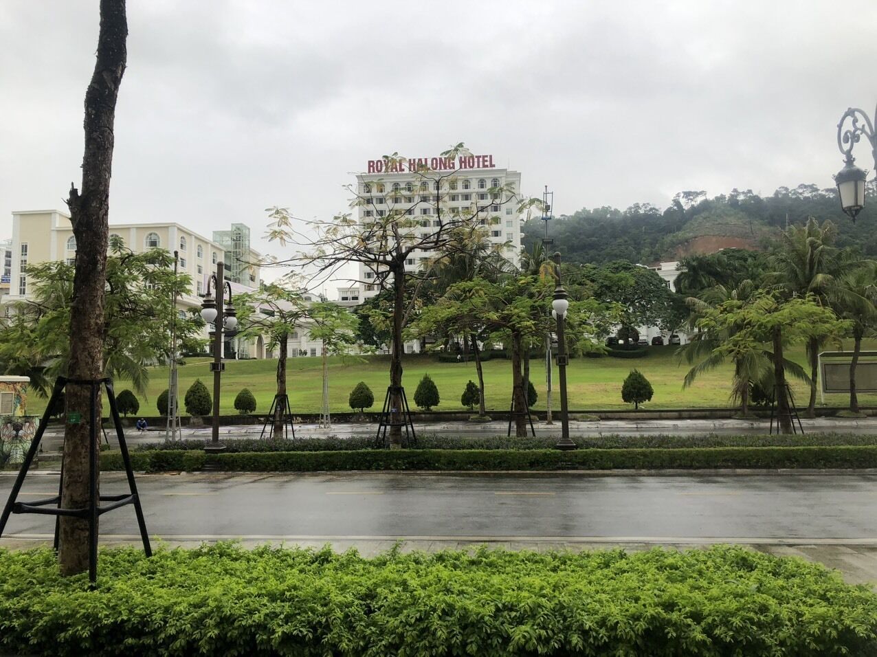 Superior Room | City view