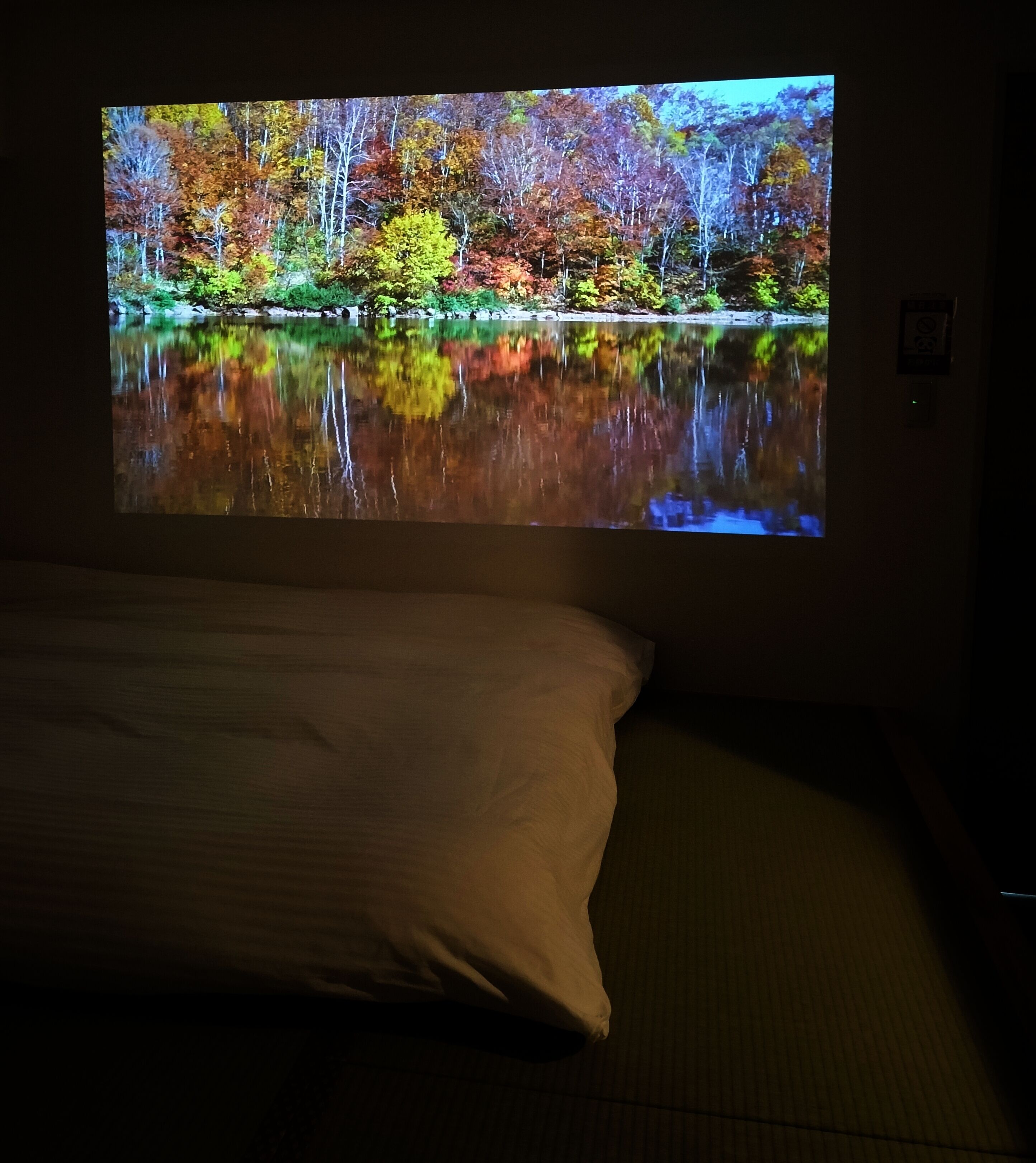 Photo - Hostel Belle Via Tokyo