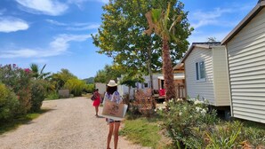 A gravel path leading to a row of mobile homes with a palm tree and greenery on the side. - Camping Felix de la Bastide (Saint-Mitre-les-Remparts)