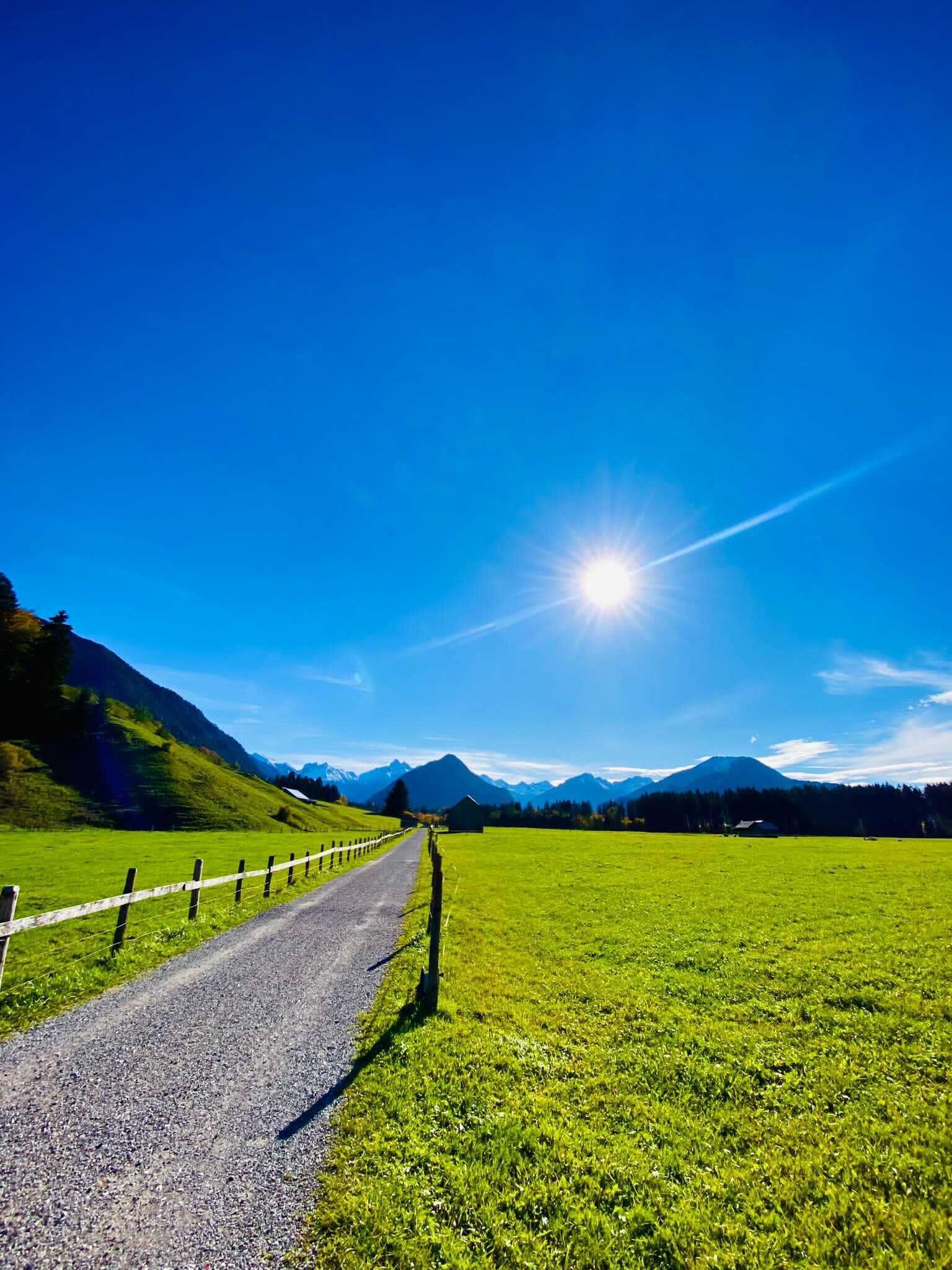 Un camino rural que atraviesa un campo verde con montañas al fondo.