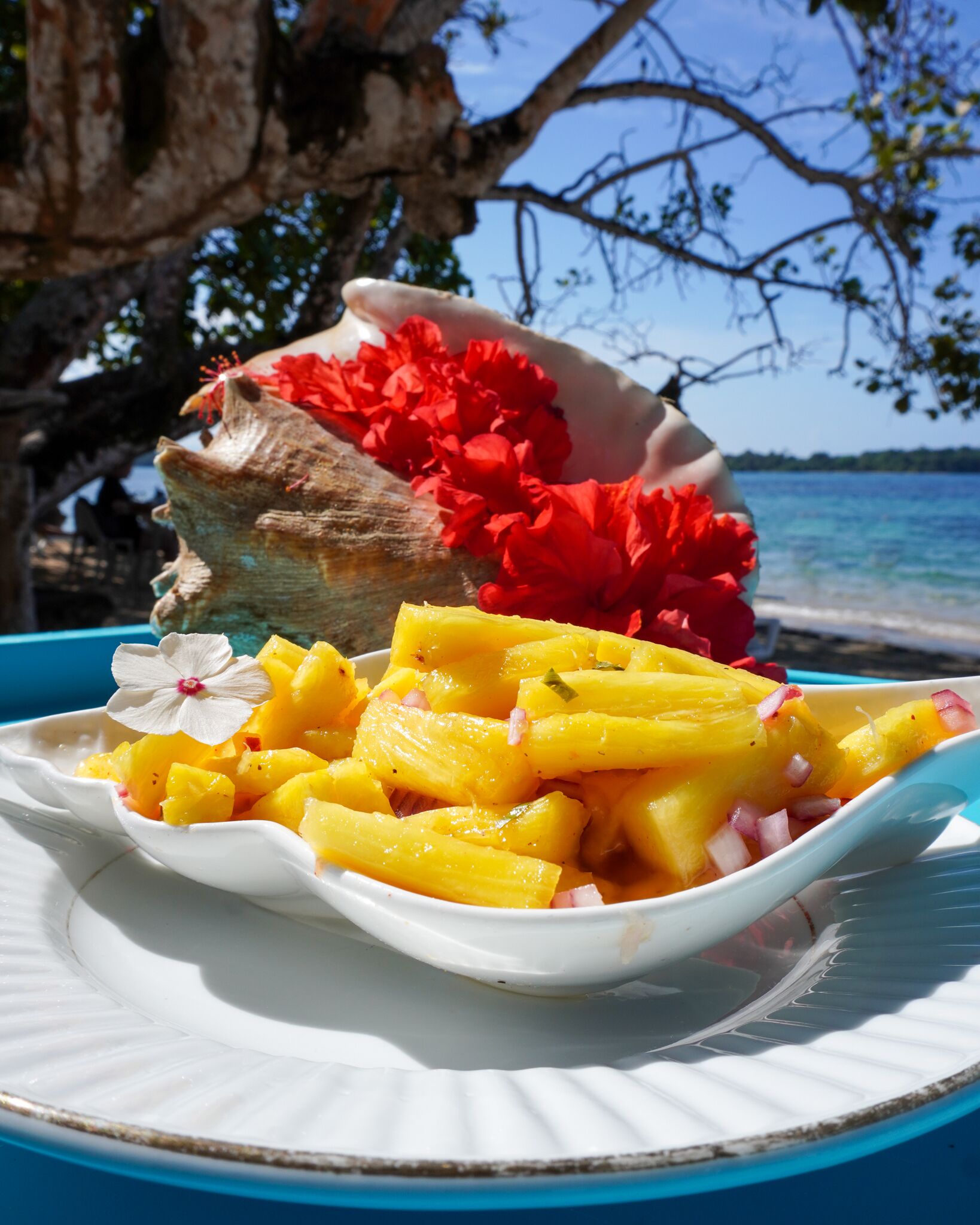 Un plato blanco con trozos de piña y flores rojas, sobre una superficie azul con playa y paisaje rocoso de fondo.