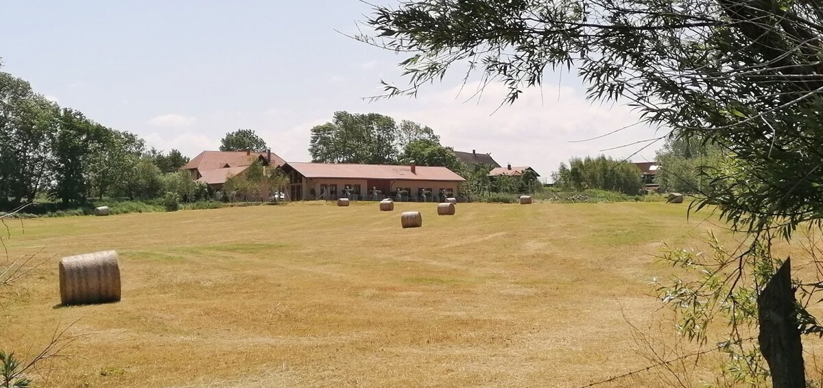 Bild für Gastgeberprofil