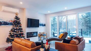 Télévision, cheminée, lecteur de DVD, livres