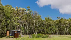 A small, modern cabin with a wooden door and a window, surrounded by a grassy area and trees. - Clarence Farm Stay by Tiny Away (James Creek)