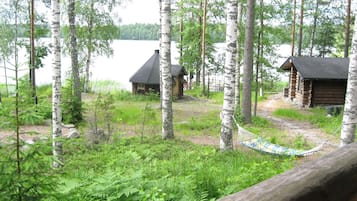 Eine Holzhütte, umgeben von Birken und mit einer Hängematte.