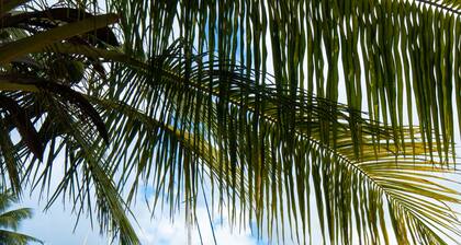 Serene, gated, modern by the beach.