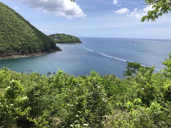 Paesaggio costiero con una collinetta verdeggiante, una piccola isola con edifici e mare calmo con barche.