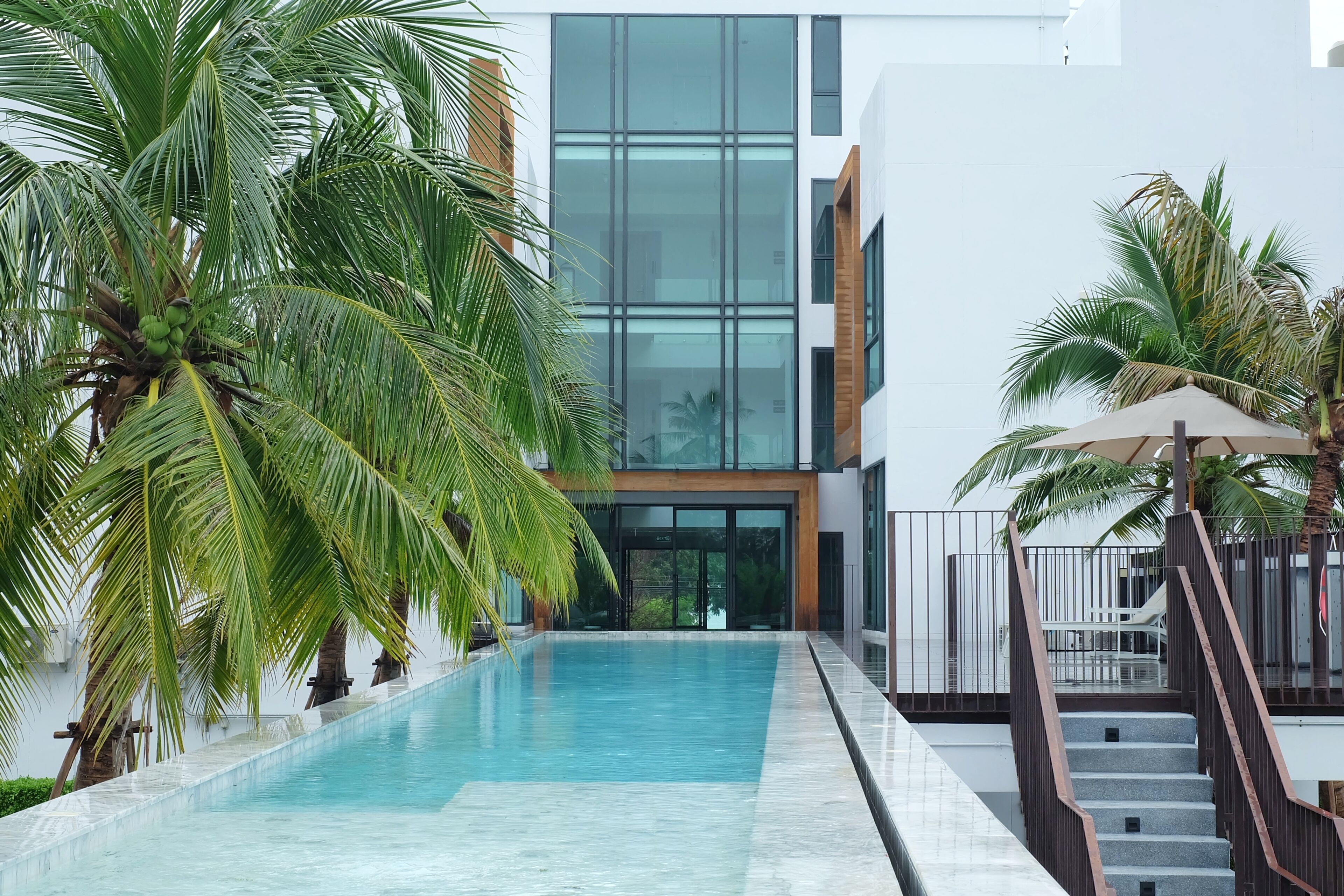 Una piscina con un edificio moderno de fondo, rodeada de palmeras.