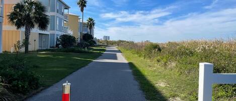 A pathway leading to a residential area with modern buildings, a clear sky, and a grassy area with palm trees.