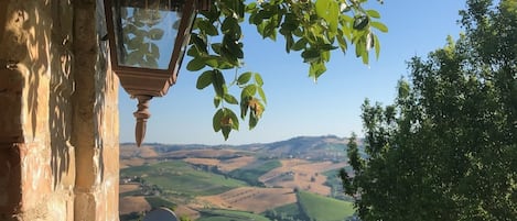 A stone building with a lantern and a satellite dish, overlooking a vineyard and rolling hills.