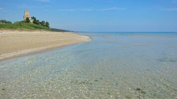 Chaises longues, serviettes de plage