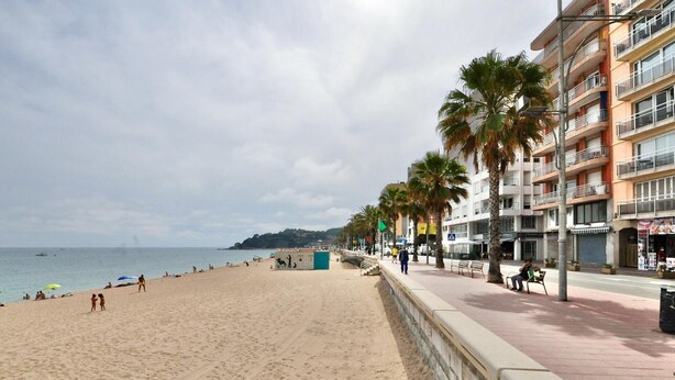 A beach with a paved walkway, palm trees, and buildings in the background.