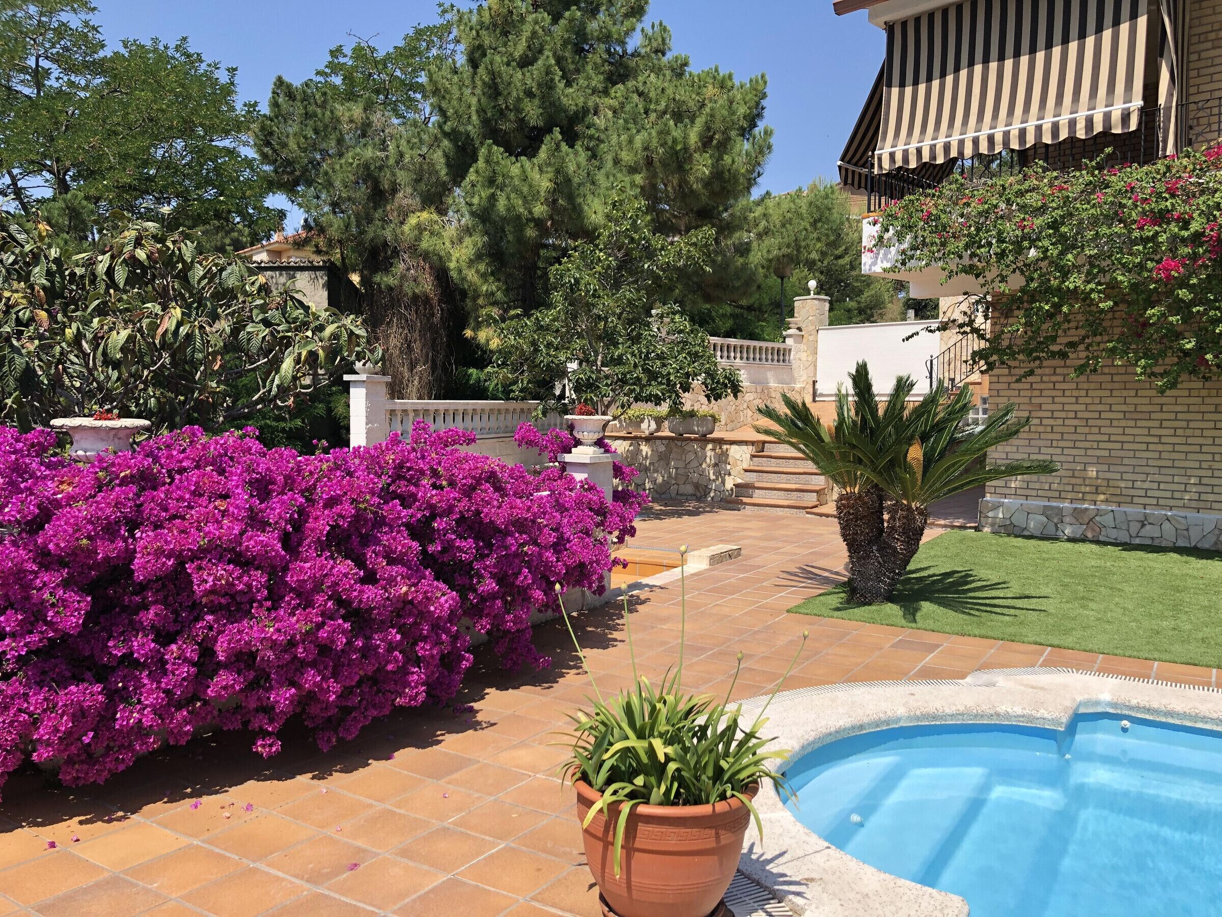 Un espace piscine doté d’une terrasse carrelée, d’une plante en pot et d’un mur en pierre.
